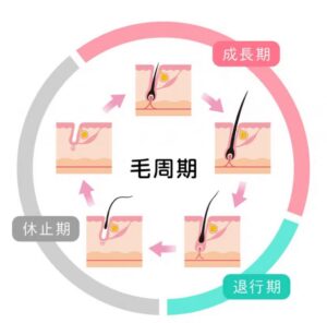 ヘアバースで髪が抜ける！？初期脱毛の原因と対策で安心｜公式通販